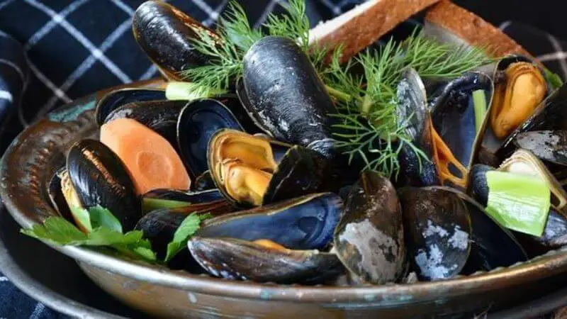 leftover mussels