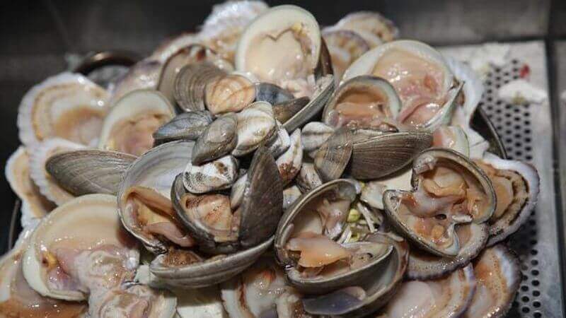 What To Do With Leftover Clams?