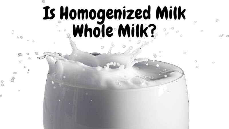 Is Homogenized Milk Whole Milk?