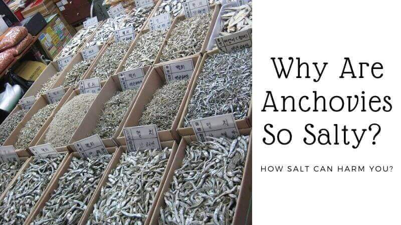 why are anchovies so salty?