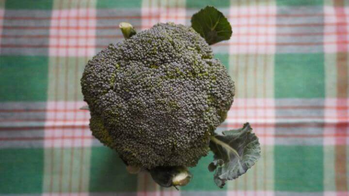 Fresh, whole broccoli