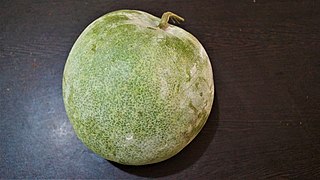 Whole Ash Gourd